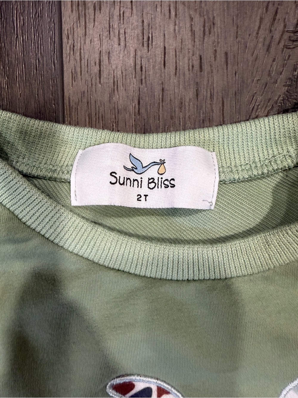 Kids Sage Green Duck PJ Set with Patterned Pants - Picture 2 of 2